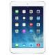 Apple Ipad Mini Retina 7.9'' 16GB Gris Espacial Wifi